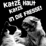 tape compilation on katze platten